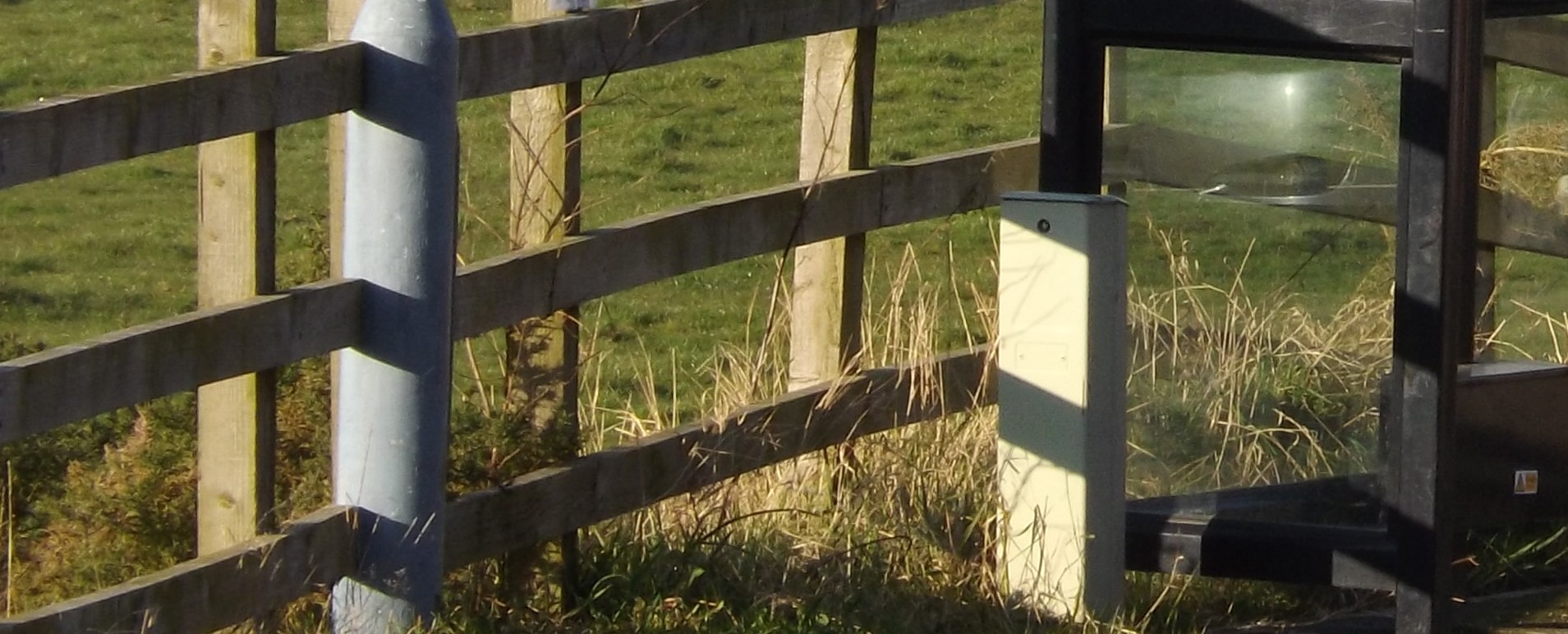 <img src="fence by bus shelter.jpg" alt="fence by bus shelter"